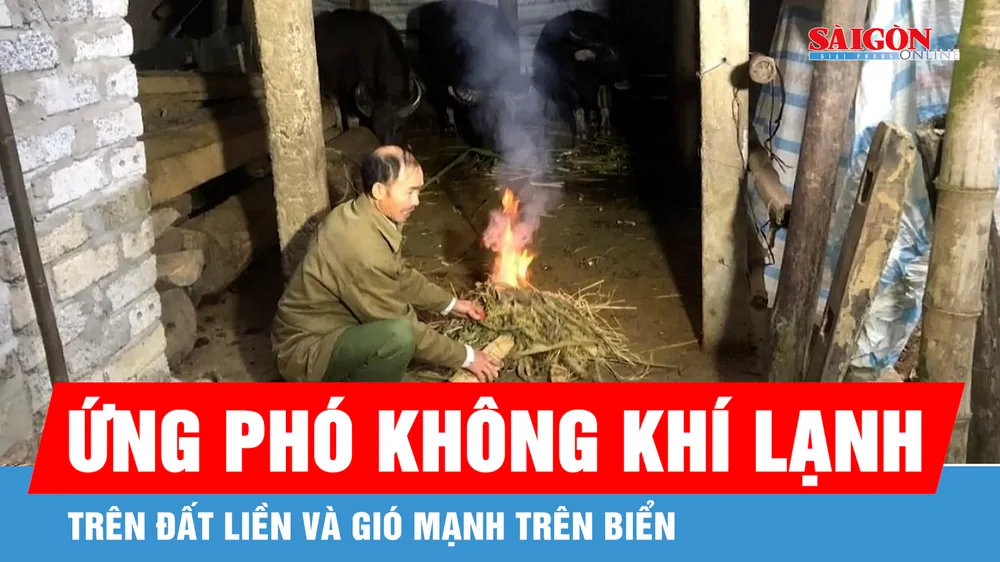 Đề nghị 32 địa phương ứng phó không khí lạnh trên đất liền và gió mạnh trên biển