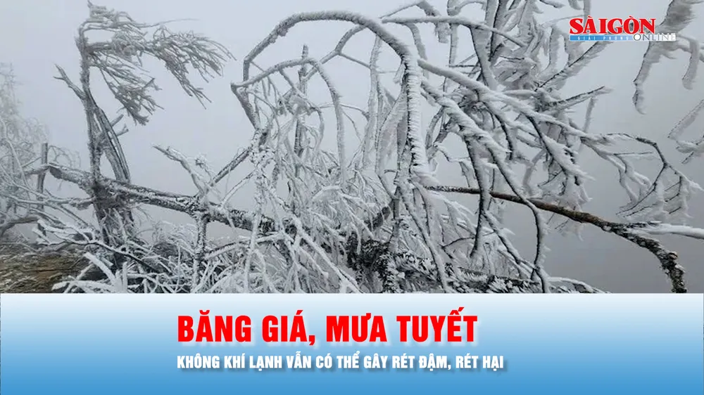Podcast bản tin trưa 25-1: Không khí lạnh có thể tiếp tục gây rét đậm, rét hại kèm băng giá