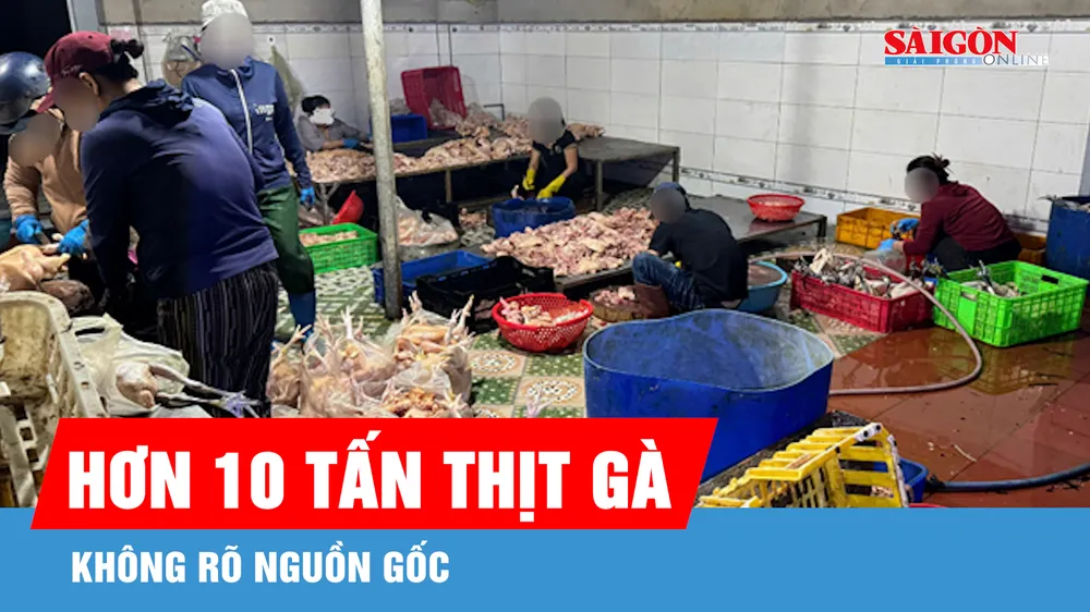 Khánh Hòa: Phát hiện hơn 10 tấn thịt gà không rõ nguồn gốc