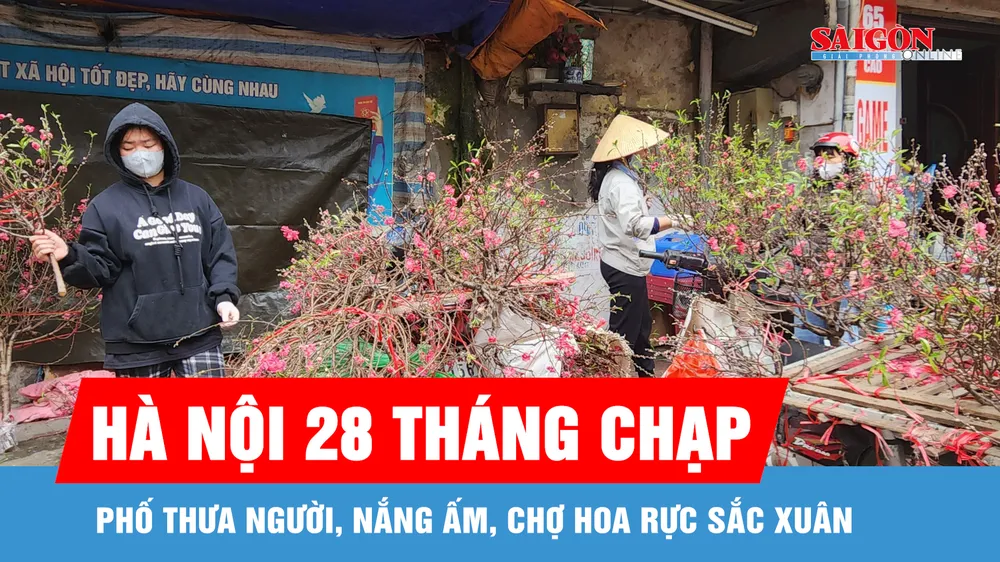 Hà Nội 28 tháng Chạp: Phố thưa người, nắng ấm, chợ hoa rực sắc xuân