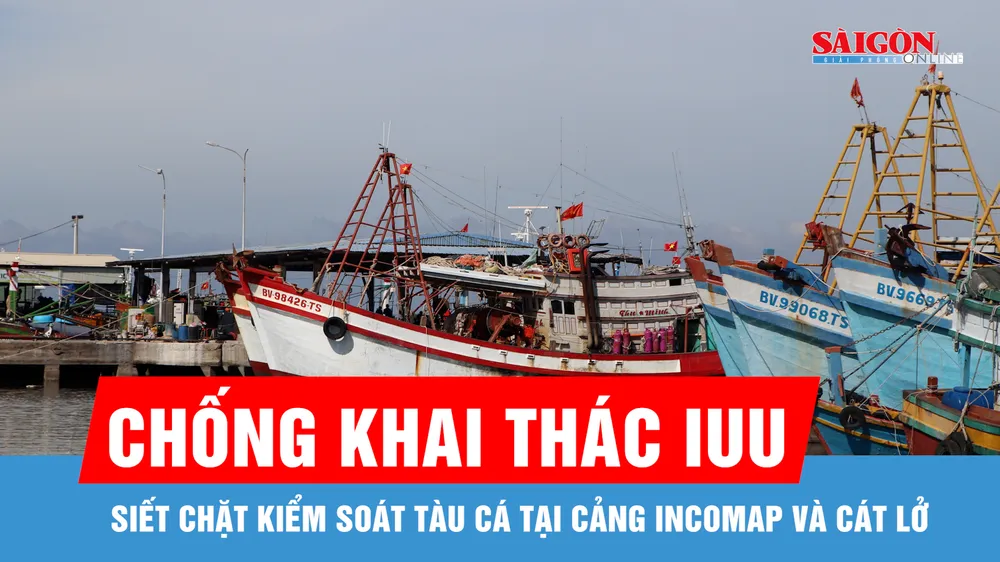 Siết chặt kiểm soát tàu cá tại cảng Incomap và Cát Lở để chống khai thác IUU