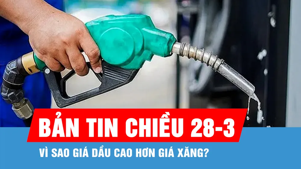 Bản tin chiều 28-3: Vì sao giá dầu cao hơn giá xăng?