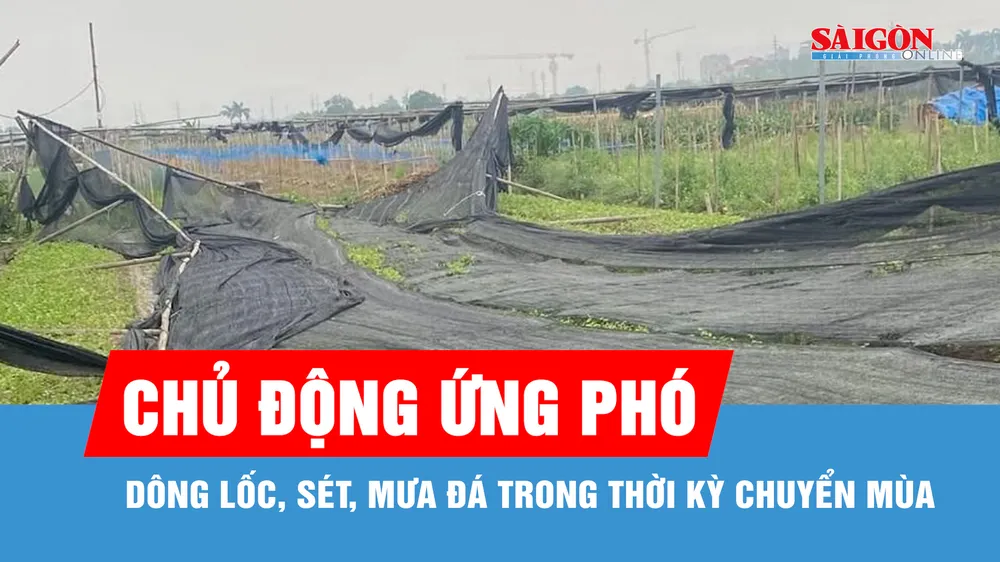 Đề nghị các địa phương chủ động ứng phó mưa đá, dông lốc, sét