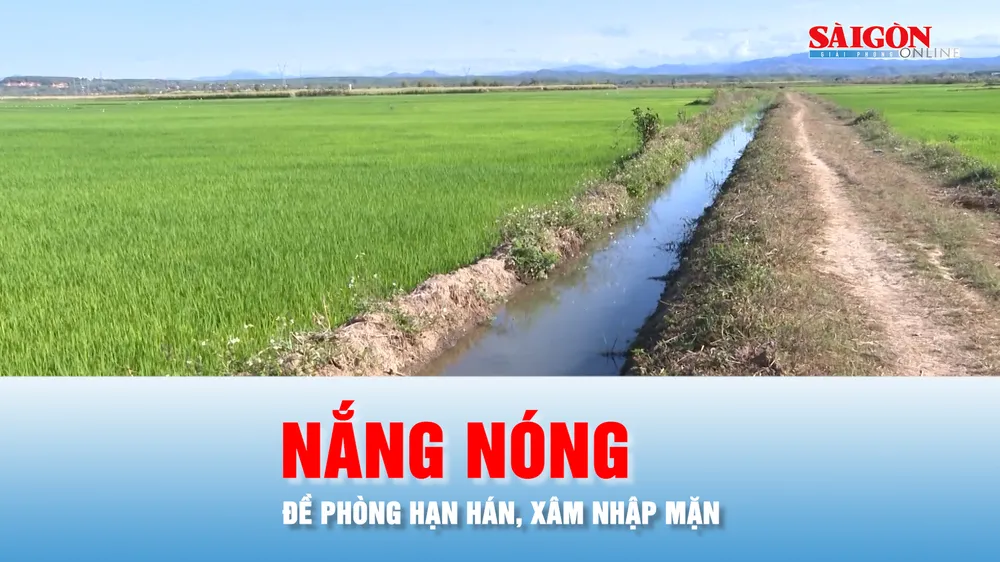 Podcast bản tin chiều 31-3: ĐBSCL bước vào mùa nắng nóng, đề phòng tác động cực đoan