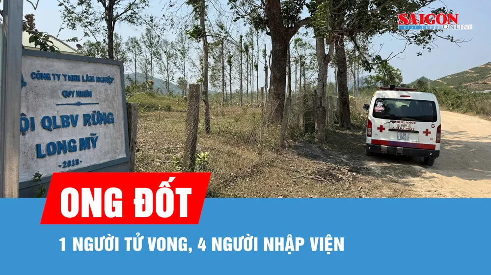 Gia Lai: Ong đốt 1 người tử vong, 4 người nhập viện