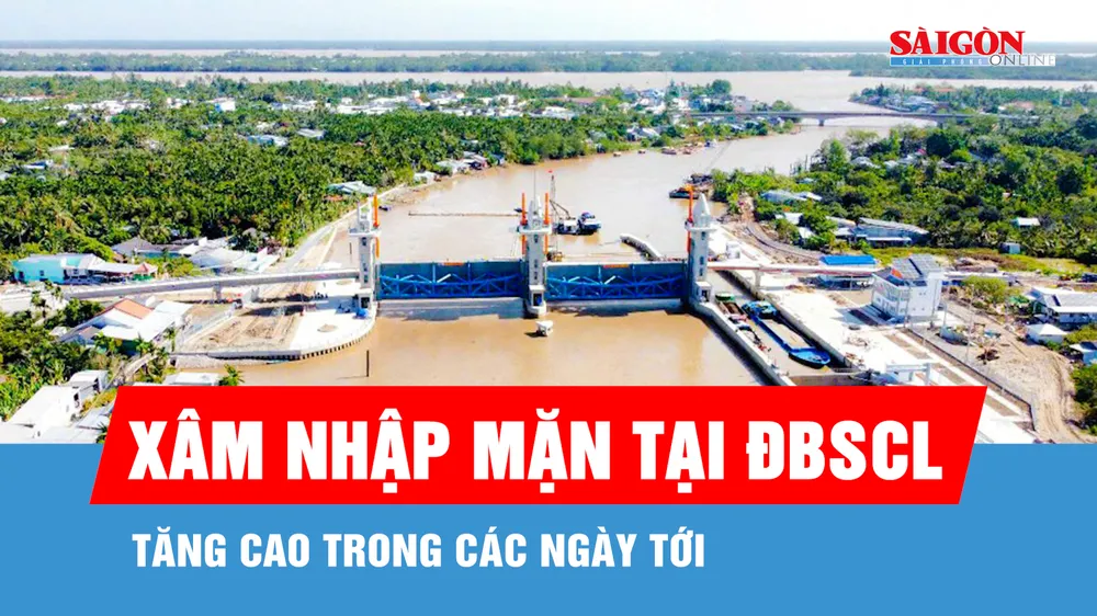 Xâm nhập mặn lấn sâu vào ĐBSCL, có nơi đến 62km