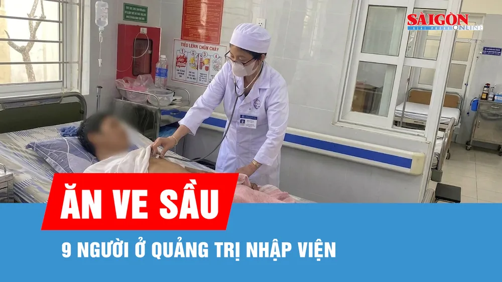 Ăn ve sầu, 9 người ở Quảng Trị nhập viện