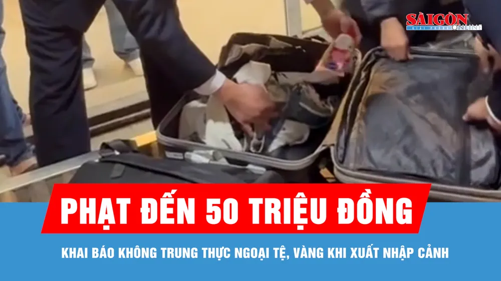 Khai báo không trung thực ngoại tệ, vàng khi xuất nhập cảnh bị phạt đến 50 triệu đồng
