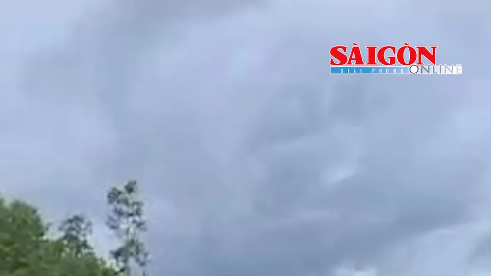 Hiện đang vào mùa mưa bão, tình hình sạt lở bờ biển tại khu vực ĐBSCL đang diễn biến phức tạp, khiến rừng phòng hộ ven biển mất dần, đe dọa cơ sở hạ tầng, khu vực dân cư.
