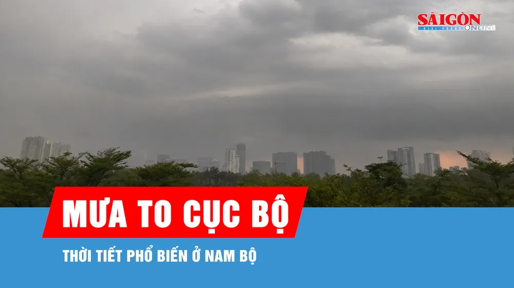 Nam bộ ngày nắng, chiều và tối có nơi mưa to