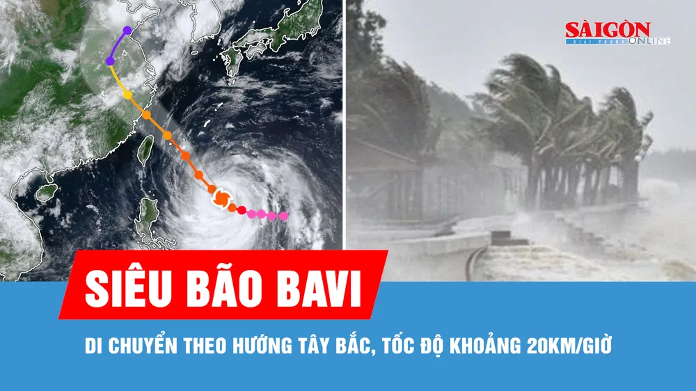 Cơ quan khí tượng nhận định về siêu bão Bavi