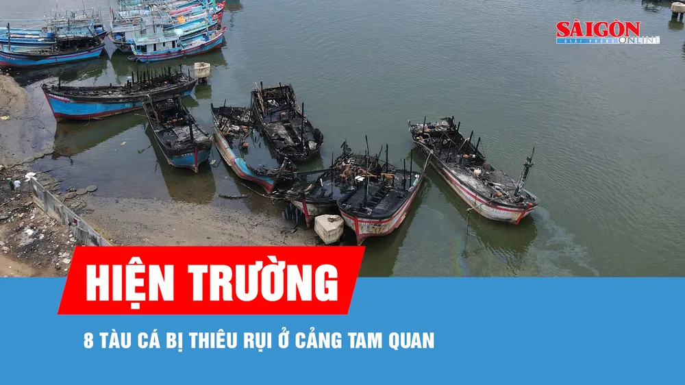 Hiện trường 8 tàu cá bị thiêu rụi ở cảng Tam Quan