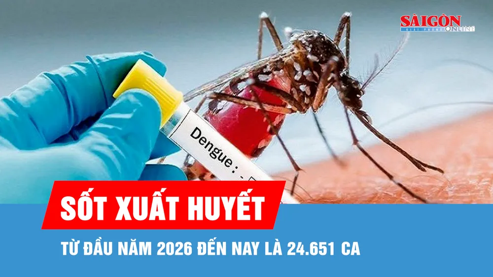 TPHCM ghi nhận hơn 1.100 ca mắc sốt xuất huyết trong một tuần