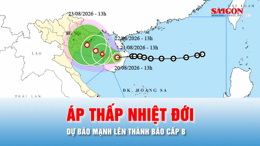 Podcast bản tin tối 20-8: Dự báo áp thấp nhiệt đới vào Vịnh Bắc bộ và mạnh lên thành bão