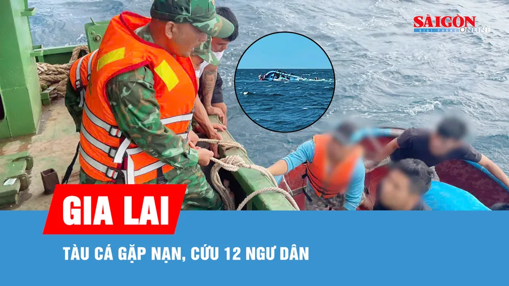 Cứu 12 ngư dân Gia Lai bị nạn giữa biển
