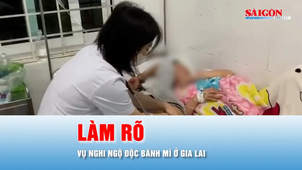 Podcast bản tin tối 26-8: Cục An toàn thực phẩm vào cuộc vụ 150 người nghi ngộ độc sau ăn bánh mì