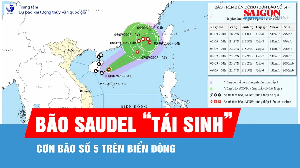 Áp thấp nhiệt đới đã mạnh lên thành bão số 5
