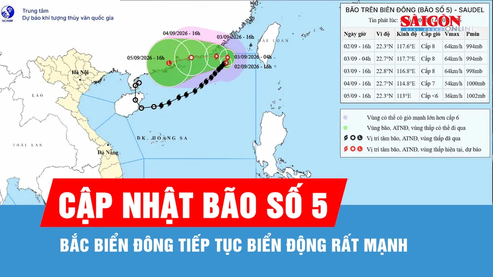 Bão số 5 tiếp tục di chuyển trên biển, duy trì ở cấp 8, giật cấp 10