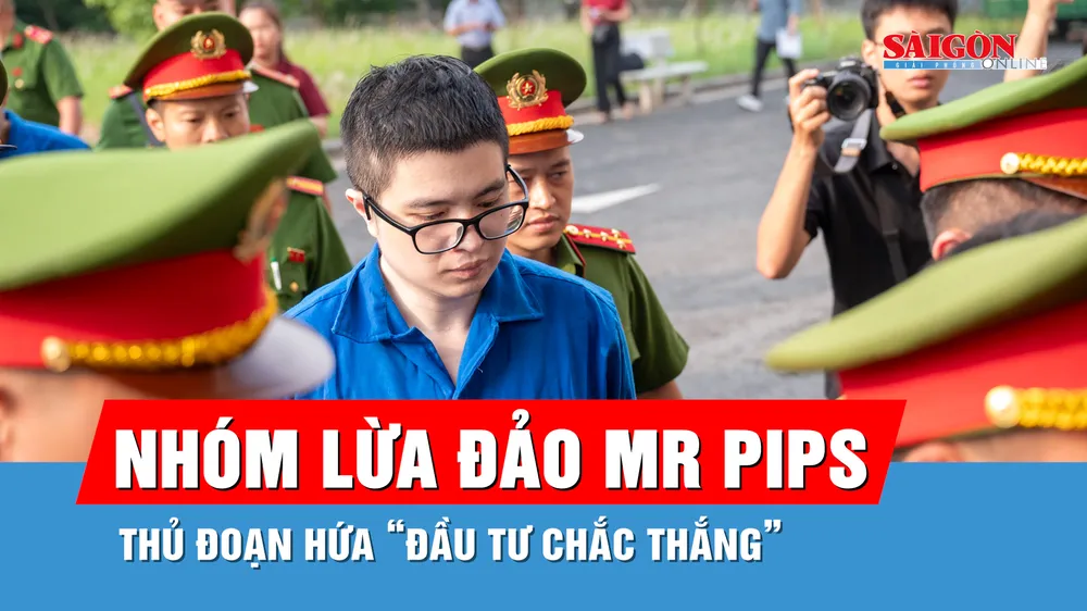 Xét xử nhóm lừa đảo Mr Pips: Từ tin lời hứa “đầu tư chắc thắng” đến mất hàng tỷ đồng