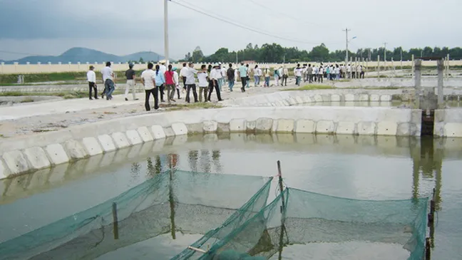 Bị giật mối bán tôm, thuê giang hồ chém dằn mặt