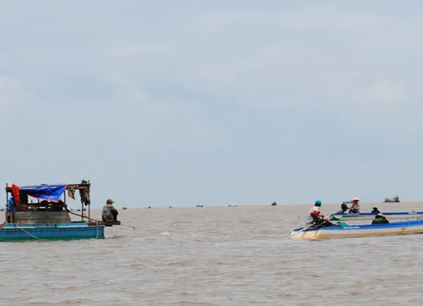 Cà Mau: Xuất hiện sò huyết giống ở bãi bồi Đất Mũi, dân đổ xô khai thác