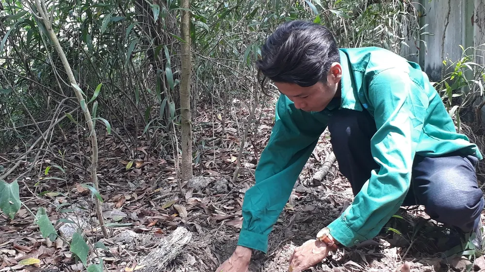 Khu vực được cho là chôn xác thai nhi trong khuôn viên Nhà máy xử lý rác thải TP Cà Mau