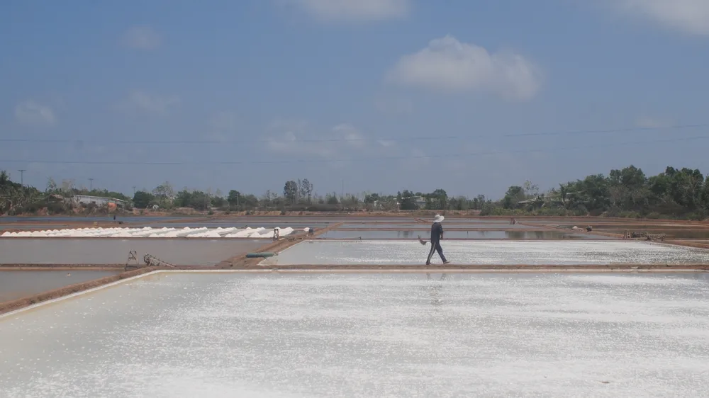 Công bố Di sản văn hóa phi vật thể quốc gia “Nghề làm muối ở Bạc Liêu”