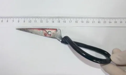 Con rể “hờ” đâm cha mẹ vợ thương vong sau khi vợ bỏ về nhà