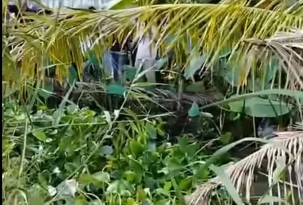 Bắt khẩn cấp người vợ giết chồng, giấu xác dưới ao 4 tháng