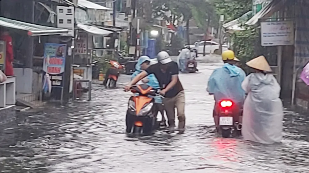 Cà Mau khẩn trương khắc phục hậu quả do mưa lớn, triều cường