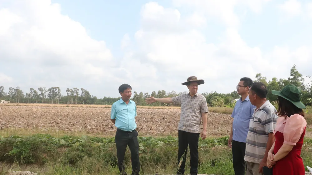 Cân nhắc việc đầu hệ thống thủy lợi dẫn nước ngọt từ sông Hậu về Cà Mau