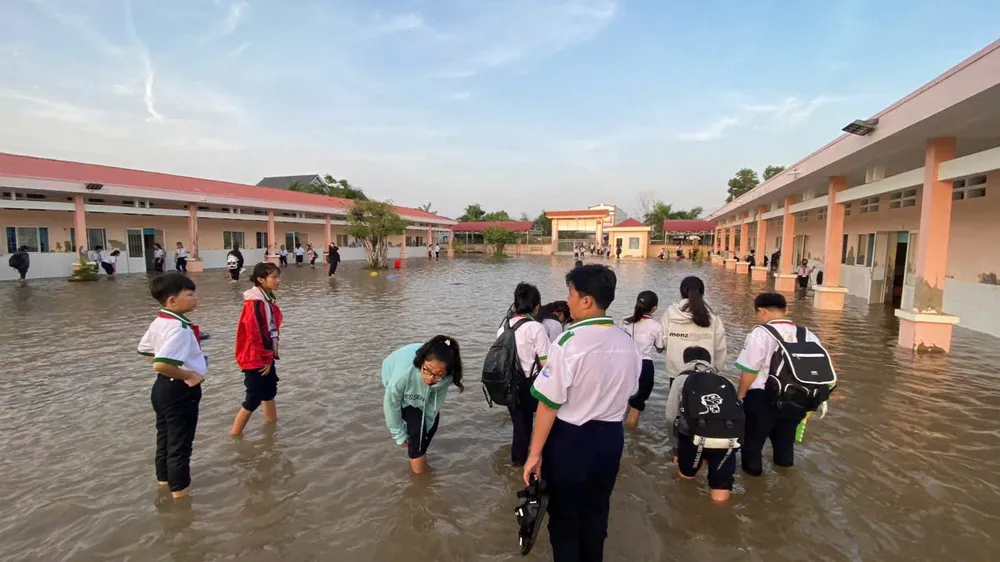 Cà Mau: Cảnh báo triều cường rằm tháng 12 âm lịch gây ngập lụt và sạt lở