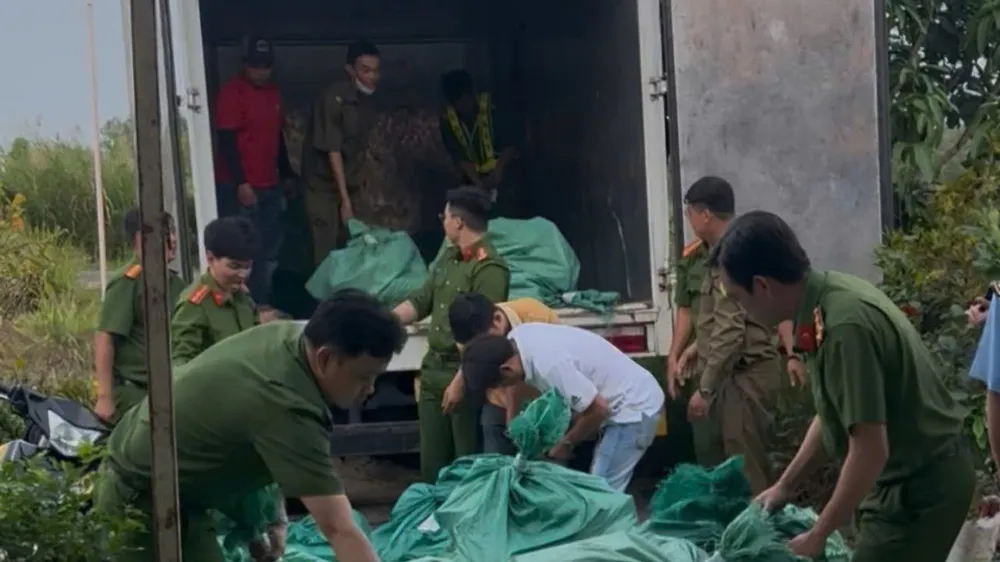 Cà Mau: Tạm giữ hơn 4 tấn mỹ phẩm không rõ nguồn gốc