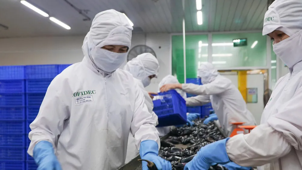 Công nhân Công ty Cofidec sơ chế nguyên liệu trên dây chuyền sản xuất thực phẩm (ẢNH: HOÀNG HÙNG)
