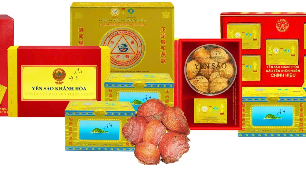 Đảng bộ Công ty Yến sào Khánh Hòa: Quyết liệt bảo tồn đàn chim yến, ngăn chặn săn bắt trái phép
