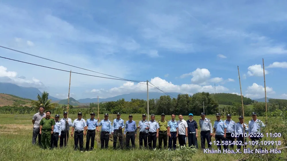 Tăng cường kiểm tra, kiên quyết xử lý bẫy bắt chim yến tại Ninh Hoà