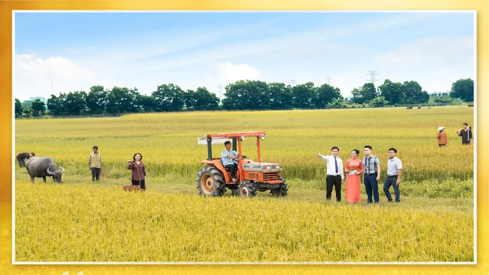 Lienvietpostbank: 15 năm chinh phục khách hàng