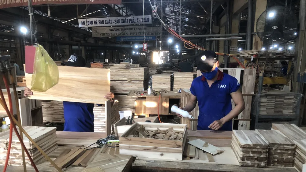 Ngành cao su phát triển kinh tế biên giới - Bài 2: Chuỗi liên kết bền vững từ cây cao su