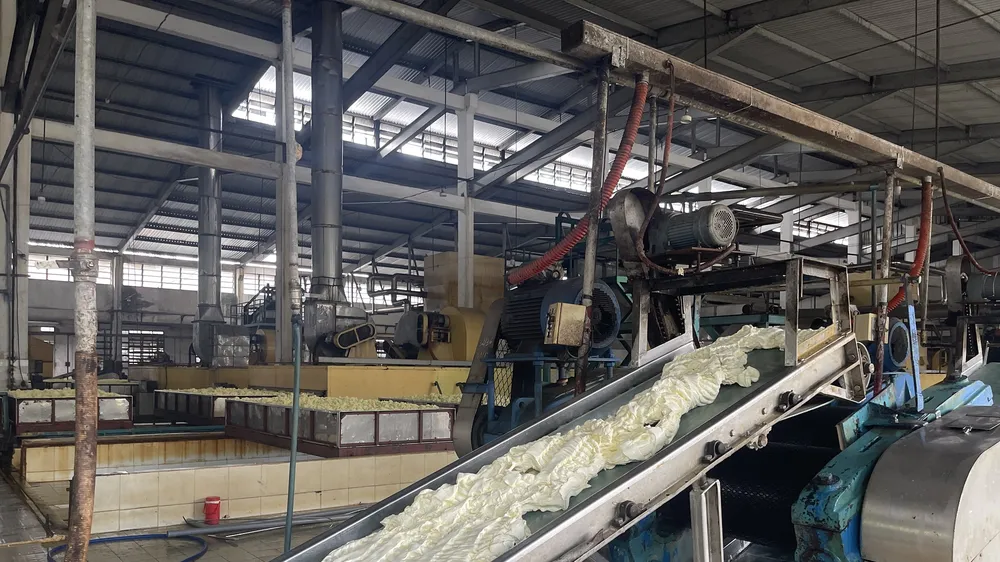 Nhà máy sản xuất của Công ty cổ phần Cao su Phước Hoà cho ra sản phẩm đạt chất lượng tốt