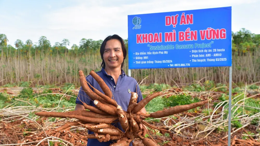 Anh Phan Đình Huynh bên ruộng khoai mì đang thu hoạch