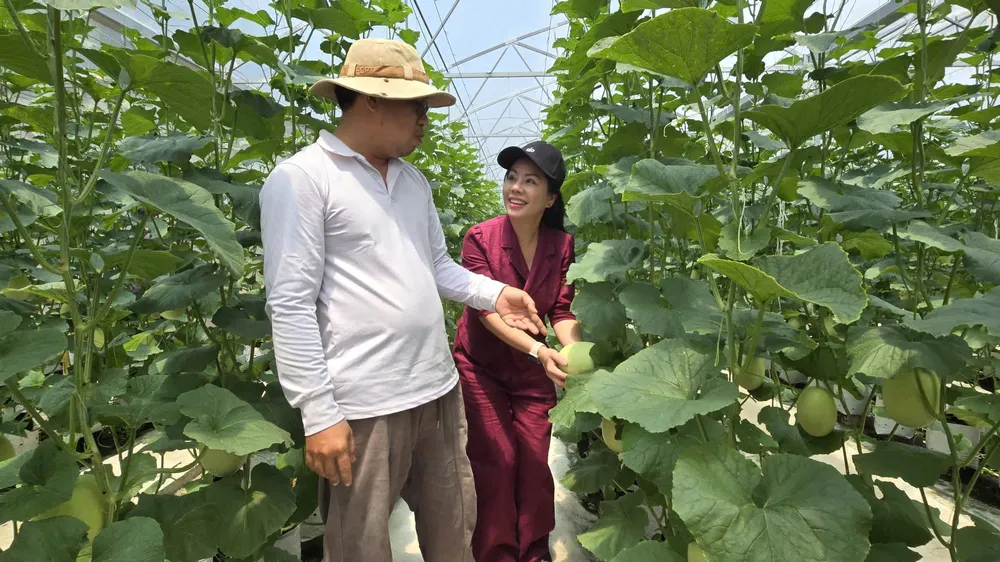 Ông Huỳnh Thanh Tâm giới thiệu mô hình trồng dưa lưới trong nhà màng tại xã Mỹ An. Nguồn vốn hỗ trợ từ Quỹ cộng đồng David Dương giúp gia đình ông mở rộng sản xuất và áp dụng kỹ thuật canh tác mới