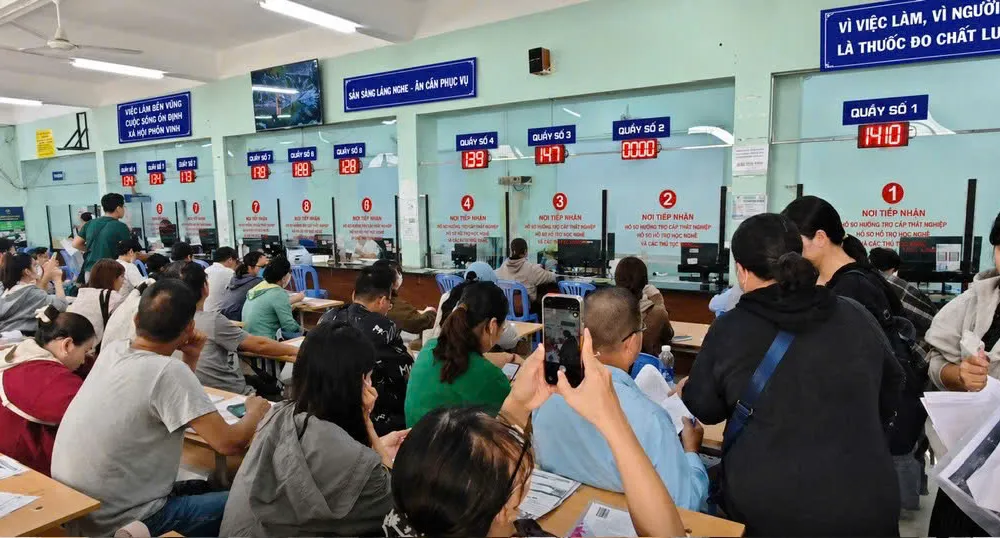 Người lao động thực hiện thủ tục hưởng bảo hiểm thất nghiệp, đồng thời được tư vấn, giới thiệu việc làm và chính sách hỗ trợ đào tạo nghề tại Trung tâm Dịch vụ việc làm TPHCM