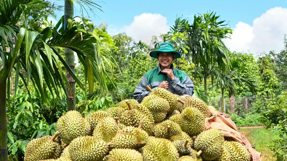 Tác phẩm tham gia Triển lãm ảnh nghệ thuật “Nữ hoàng của đại ngàn xanh”