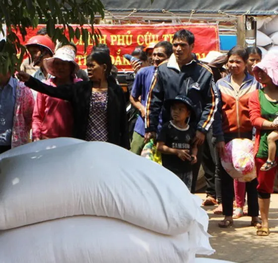 Hỗ trợ 10.000 tấn gạo cứu đói cho dân 15 tỉnh trong dịp tết và giáp hạt năm 2018