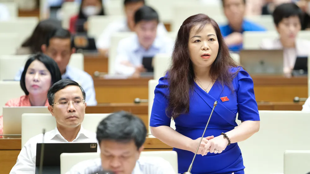Cần tăng cường thu hút đầu tư nước ngoài và khu vực tư nhân vào lĩnh vực dầu khí
