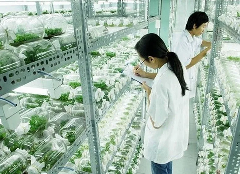 Hà Nội sẽ có khu Công nghệ cao sinh học Hà Nội rộng 200ha