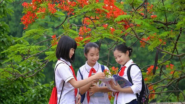 Thủ tướng chỉ đạo quản lý trẻ em, học sinh không để xảy ra tai nạn, thương tích, đuối nước trong kỳ nghỉ hè