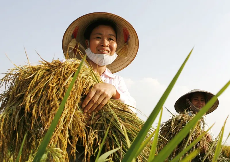 Quỹ Hỗ trợ nông dân Trung ương nhằm hỗ trợ hội viên Hội Nông dân