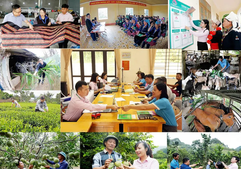 Chính phủ yêu cầu mở rộng địa bàn, đối tượng, nâng mức cho vay tín dụng chính sách xã hội