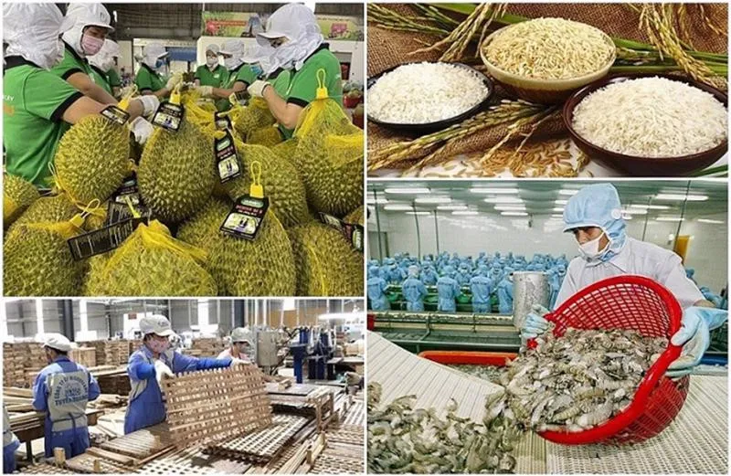 Triển khai ngay các biện pháp ngăn chặn, xử lý vi phạm dư lượng hóa chất trong nông sản